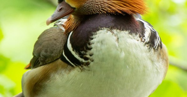 Quels sont les 5 valeurs ?